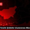 "Kadına Yönelik Şiddetle Uluslararası Mücadele Günü"