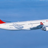 Pilotların başı martılarla dertte Pilotların başı martılarla dertte