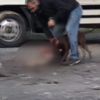 Vahşet! İstanbul'da ağızlıksız dolaştırılan pitbull, kediye saldırdı!