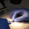 Bronz sikkeler Parion un tarihine ışık tutuyor Bronz sikkeler Parion un tarihine ışık tutuyor