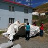 Elazığ'dan, deprem bölgesine destek Elazığ'dan, deprem bölgesine destek