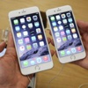 Banka hesabı açana iPhone 6 veriyorlar!