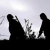 Terörün bilançosu Terörün bilançosu