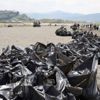 Van Gölü sahilinde 110 ton çöp toplandı