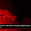 Muğla da evlerin duvarları lavanta figürleriyle renkleniyor Muğla da evlerin duvarları lavanta figürleriyle renkleniyor