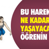 Kardemir Karabükspor, Rize'de Hazırlıklarını Sürdürüyor Kardemir Karabükspor, Rize'de Hazırlıklarını Sürdürüyor