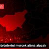 TÜBA su ürünlerini mercek altına alacak