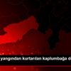 Son dakika haber! Mersin de yangından kurtarılan kaplumbağa ...