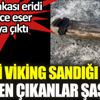 ﻿Viking sandığı açıldı içinden çıkanlar şaşırttı