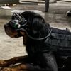 VR gözlükleriyle patlayıcı bulacaklar VR gözlükleriyle patlayıcı bulacaklar