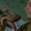 Tarkan’ın köpeğinin özel arabası ve şoförü varmış, çalışanlar sandviç o et yiyor Tarkan’ın köpeğinin özel arabası ve şoförü varmış, çalışanlar sandviç o et yiyor