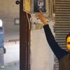 Ücretsiz maske dağıtımında sıkıntılar başladı Ücretsiz maske dağıtımında sıkıntılar başladı