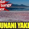 ﻿Natron Gölü dokunanı yakıyor