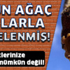 Yurtdışı Eğitim Yurtdışı Eğitim