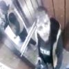 Damacanaya idrarını yapan sucu savcılıkta ifade verdi