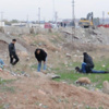 Mardin’de uyuşturucu operasyonu Mardin’de uyuşturucu operasyonu