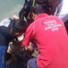 Serinlemek için girdiği baraj sonu oldu Serinlemek için girdiği baraj sonu oldu