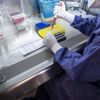 Yurt dışından gelenlerin 'PCR testi ibrazı zorunluluğu' uygulaması devam edecek