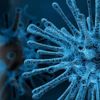 Korona virüse karşı umut oldu! Yüzde 80 önlüyor