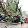 Filipinler'de Kammuri kabusu Filipinler'de Kammuri kabusu