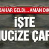 Sonbahar geldi… Aman dikkat!