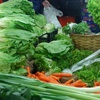 Salata ve yeşillik seviyosanız geç yaşlanacaksınız Salata ve yeşillik seviyosanız geç yaşlanacaksınız