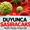 Kanserin Nedeni Ortaya Çıktı Kanserin Nedeni Ortaya Çıktı