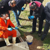 Rögarda 4 aylık cenin bulundu Rögarda 4 aylık cenin bulundu