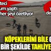 ﻿ABD'nin köpeklerini bile güvenli bir şekilde tahliye etmesine ünlü gazeteci böyle yorum yaptı