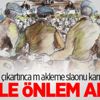 Dil çıkartınca... Perdeli önlem Dil çıkartınca... Perdeli önlem