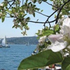 İstanbul’a bahar yakışır
