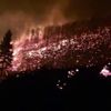 Trabzon un Arsin ilçesinde orman yangını Trabzon un Arsin ilçesinde orman yangını