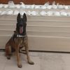 Van'da 15 kilo 877 gram uyuşturucu ele geçirildi: Bir kişi tutuklandı Van'da 15 kilo 877 gram uyuşturucu ele geçirildi: Bir kişi tutuklandı