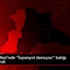Saros Körfezi nde "İspanyol dansçısı" balığı görüntülendi Saros Körfezi nde "İspanyol dansçısı" balığı görüntülendi