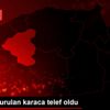 Tüfekle vurulan karaca telef oldu