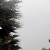 Meteoroloji uyardı: Hafta başı yağış geliyor