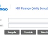 Milli Piyango Bilet Sorgulama Ekranı (www.millipiyango.gov.tr)