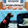 Esrarı 'Vida' buldu Esrarı 'Vida' buldu