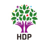 HDP harekatlardan rahatsız oldu HDP harekatlardan rahatsız oldu