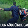 Beşiktaş'ta trafik kazası! Beşiktaş'ta trafik kazası!