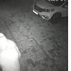 "Pandemi çetesi"ne operasyon "Pandemi çetesi"ne operasyon