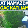 Cemaat namazdayken ağaç katliamı