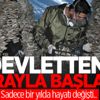 İstiridye mantarı geçim kaynağı oldu İstiridye mantarı geçim kaynağı oldu