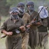 Şırnak'ta 3 terörist teslim oldu Şırnak'ta 3 terörist teslim oldu