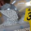 Tescilli Akkuş fasulyesinde rekolte kaybı bekleniyor Tescilli Akkuş fasulyesinde rekolte kaybı bekleniyor