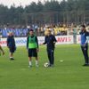 Kanarya'da yaprak dökümü başladı Kanarya'da yaprak dökümü başladı