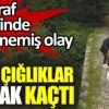 ﻿Gelin çığlıklar atarak kaçtı