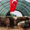 Gölbaşı Belediyesi Kurban Bayramı’na hazır
