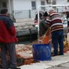 İzmirli balıkçılar: Mültecileri adalara seve seve taşırız İzmirli balıkçılar: Mültecileri adalara seve seve taşırız