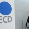 Türkiye genç işsizlikte OECD birincisi